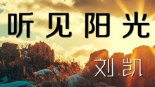  - 刘凯【听见阳光】20160505期