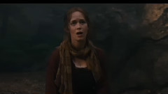 Moments In The Woods