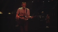 The Butterfly Collector