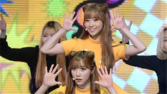 Exquisite! - Show Champion 现场版 16/05/04