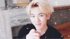 Merry Merry 边伯贤2016庆生