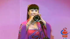 民乐群星 - 百鸟朝凤