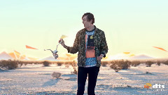 Painted Palms - Forever 7.1