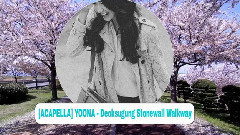 德寿宫石墙路的春天