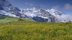 轻音乐 - Bagpipe Reggae - Diego Modena - 陶笛