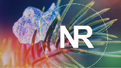 Galantis - Runaway(U & I)