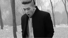 阿译 - 渴望爱情的猪