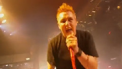 Singular Indestructible Droid