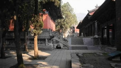 李维(女) - 牧羊曲