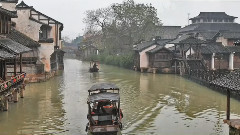 李维(女),音乐短片 - 唯美乌镇 凄婉大提琴