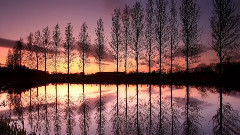 Cold As Ice (превод)