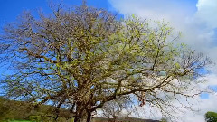 I'm Waiting For You(我在等你)