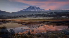 Don't Give Up(不言放弃)