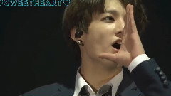 防弹少年团是阿米永远的心上人