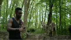 La Nuit Porte Conseil