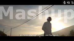 See You Again VS Love The Way You Lie