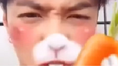 一只会B-box的兔叽 张艺兴微博更新视频一则