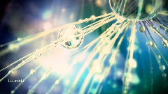 Eldar Mansurov - Lirik pyes