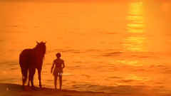 Eldar Mansurov,音乐短片 - Taleyim