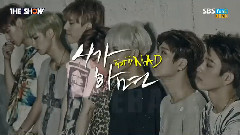 如果你(If You Do)