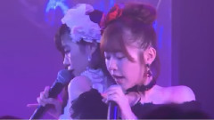 おしべとめしべと夜の蝶々