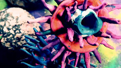 Glass Animals - Pools