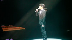 雷颂德演唱会之黎明演唱明星 饭拍版