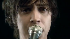 Reptilia
