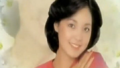 邓丽君 - 怎能遗忘邓丽君