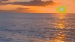 Whispers In The Dark