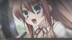 游戏< あっぱれ!天下御免(祭)～恋と岚は大江戸の华～ > 宣传PV