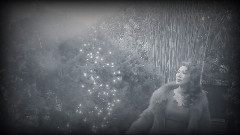 任雁 - 花样的年华