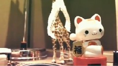 She Is Not Following You