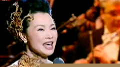 蝴蝶 & 我亲爱的爸爸 & 梅花引