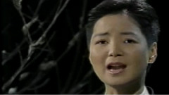 望乡じよんがち