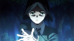 只有时臣知道的世界 英灵篇