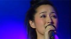 月光下的凤尾竹