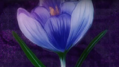 悲嘆リグレット-Grief Regret-