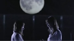 あなたに出会わなければ～夏雪冬花～