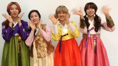 迟来的新年问候