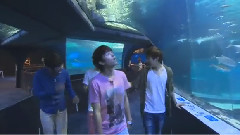 釜山游记未公开视频 Part4 X- FILE 水族馆篇 13/03/09