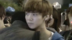 那些追过的机场鹿