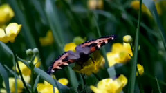 Le Silence De l'Ame (The Silence Of The Soul)