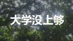 大学没上够
