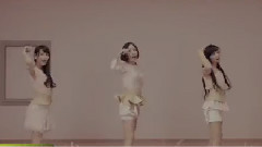 初のビデオ・クリップ集