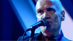 Everybody's Carrying A Gun