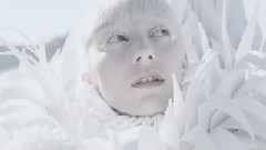 There's Talk - The Salt