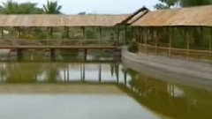 民乐群星 - 红梅赞 琵琶独奏