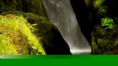 The Sound of Nature...