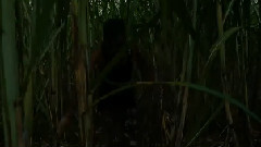 Borkung Hrangkhawl - Never Give Up